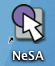 NeSA test score only part of the story