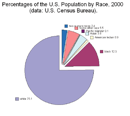 Graph showing the race percentages in the United states as of 2000. Courtesy of Wikipedia 