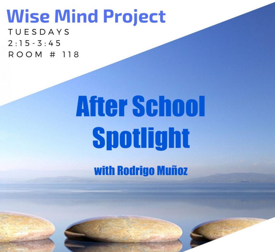 After School Spotlight - Wise Mind Project