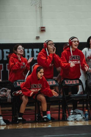 Girls var. wrestling team; (1) Basmala Sheruza (2) Jeena Hajee, (3) Jazleen Alvarez, (4) Bayan Sheruza.